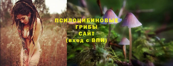 тгк Аркадак